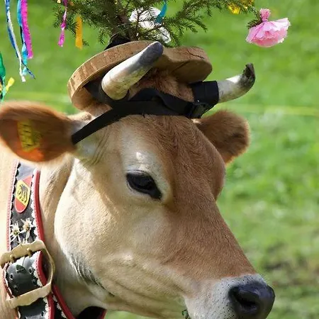 شقة Staubbach Beautiful Waterfall