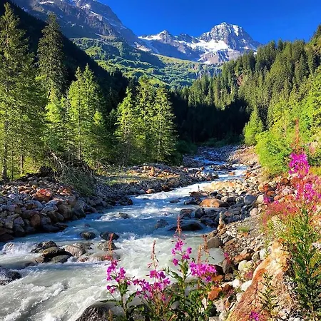 Staubbach Beautiful Waterfall شقة لوتربرونن