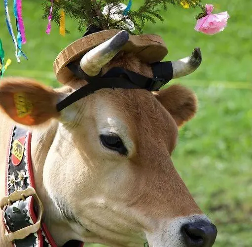 Apartmán Staubbach Beautiful Waterfall