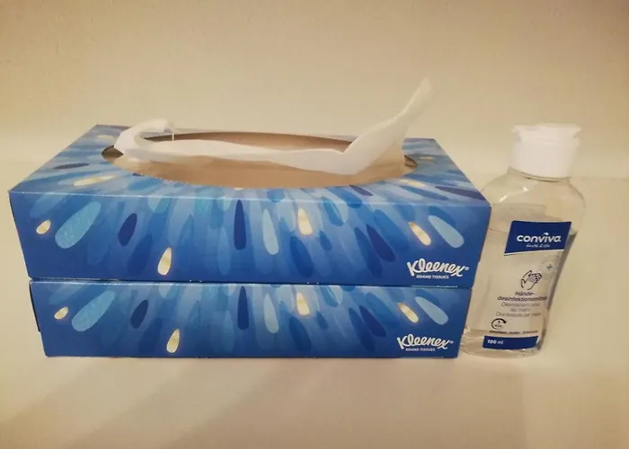 Staubbach Beautiful Waterfall Lejlighed *